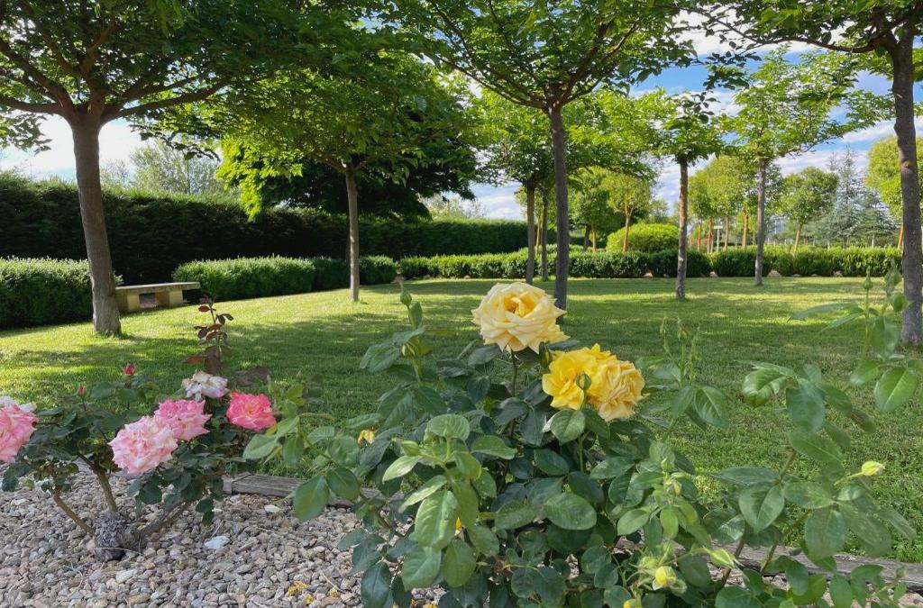 ¡Desconexión entre viñedos! La Rioja desde tu villa privada
