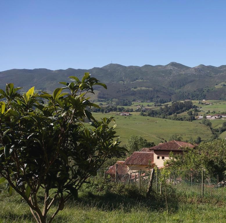 Cena degustación y visita a sidrería alojados en plena naturaleza - Hotel Rural Valleoscuru