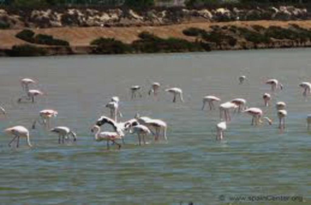 Disfruta del Mar Menor en hotel 4* - Hotel Traíña