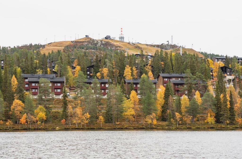 Conoce a Santa Claus en su casa de Laponia ¡vuelos directos incluidos!