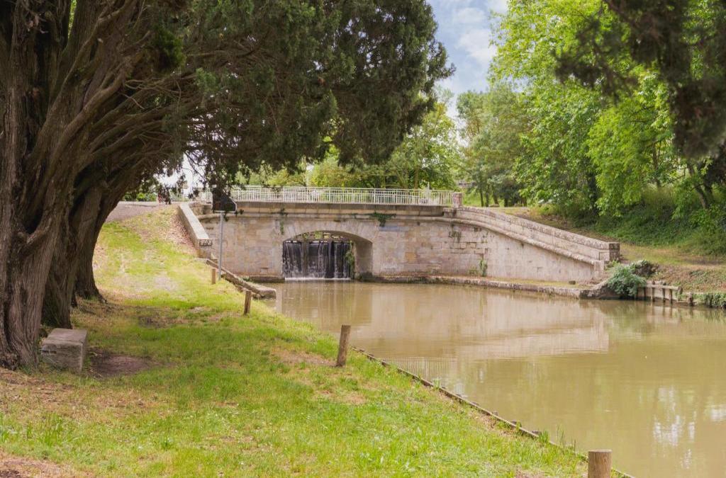 Descubre Carcasona: la joya medieval del sur de Francia - Hôtel Pont Rouge