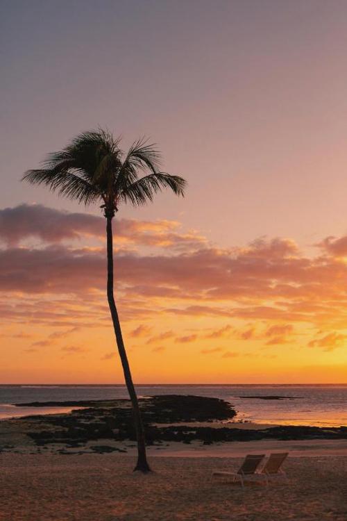 Ambre Mauritius