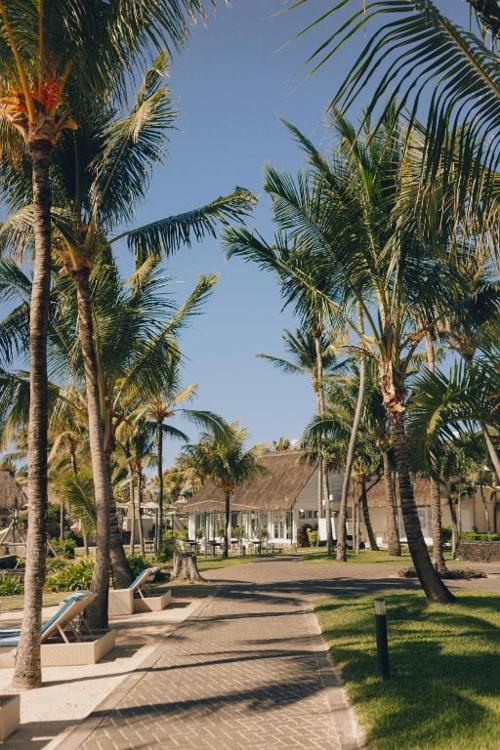 Ambre Mauritius