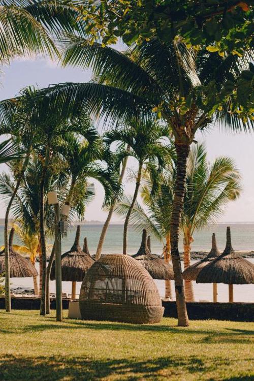 Ambre Mauritius