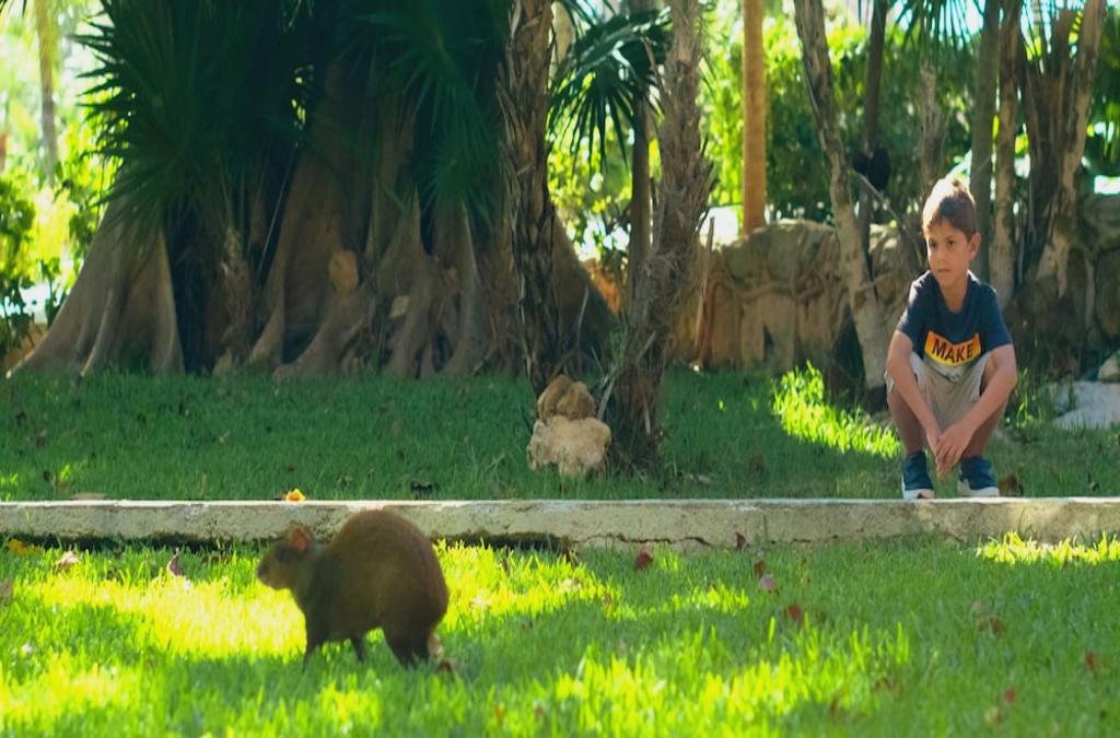 Riviera Maya con vuelos y TODO INCLUIDO en resort 5* - Hotel Allegro Playacar
