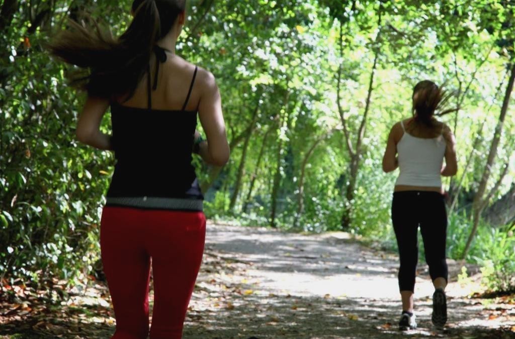 Relax entre viñedos en Tamengos con opción de spa, cerca de Aveiro