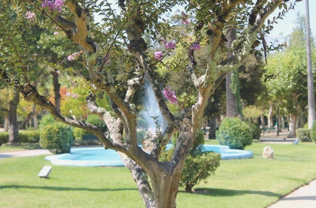 Relax entre viñedos en Tamengos con opción de spa, cerca de Aveiro