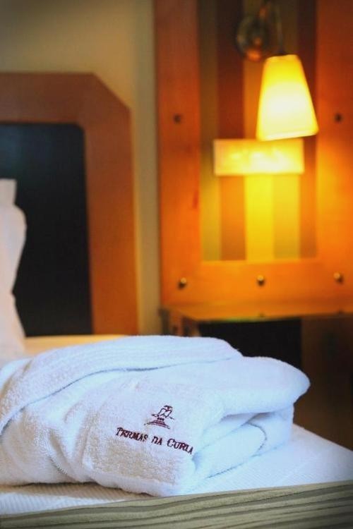 Relax entre viñedos en Tamengos con opción de spa, cerca de Aveiro - Hotel Termas da Curia