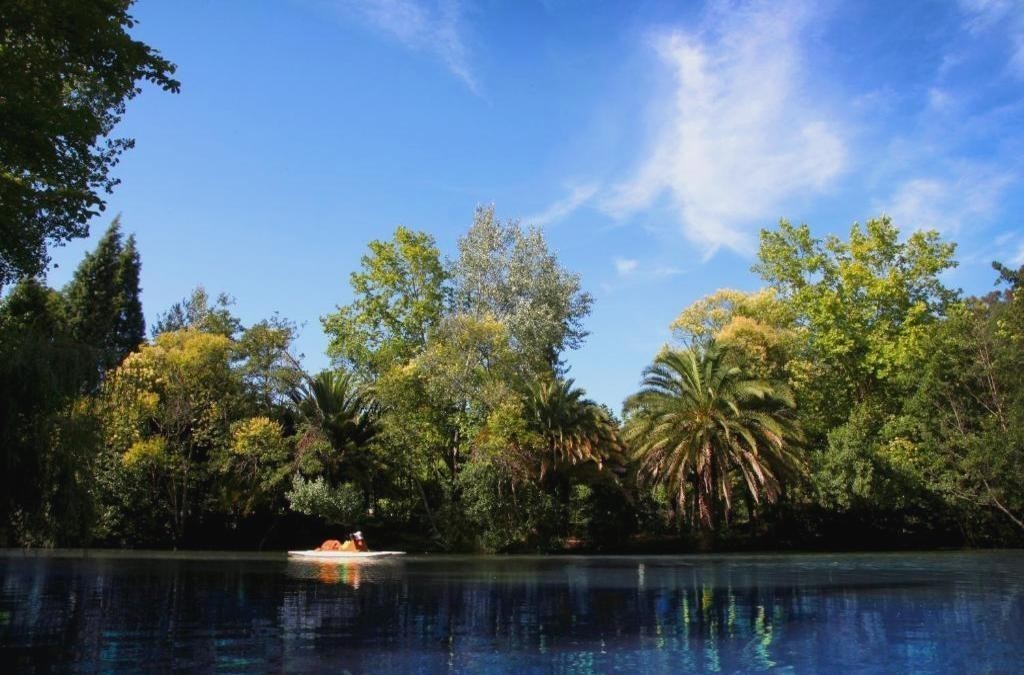 Relax entre viñedos en Tamengos con opción de spa, cerca de Aveiro - Hotel Termas da Curia