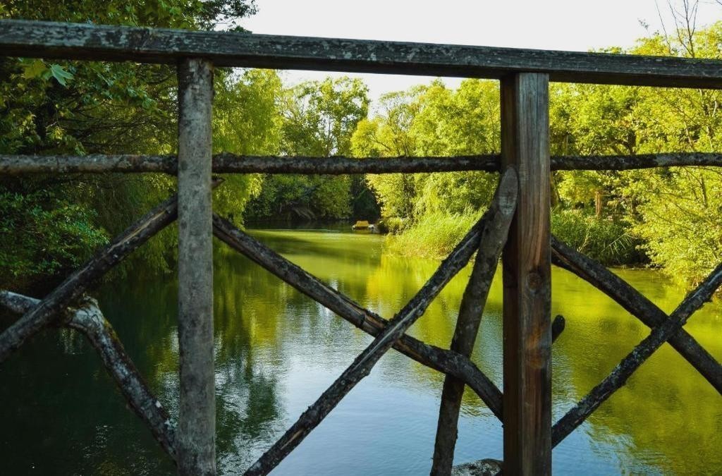 Relax entre viñedos en Tamengos con opción de spa, cerca de Aveiro - Hotel Termas da Curia