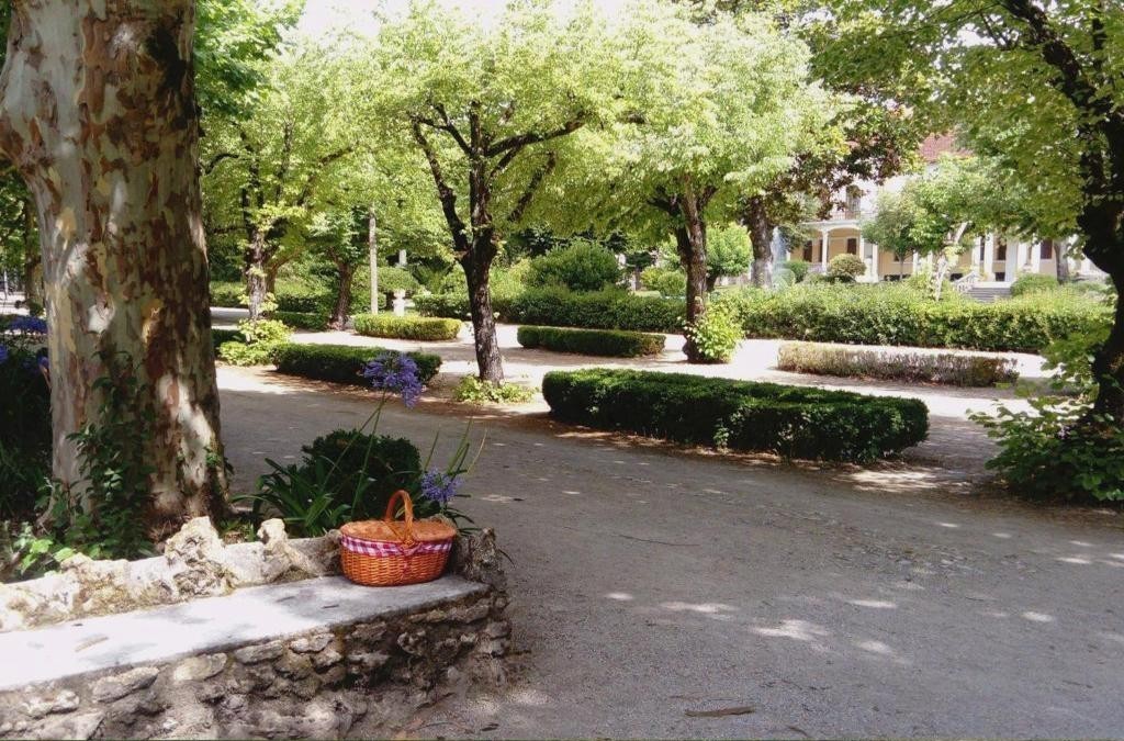 Relax entre viñedos en Tamengos con opción de spa, cerca de Aveiro - Hotel Termas da Curia