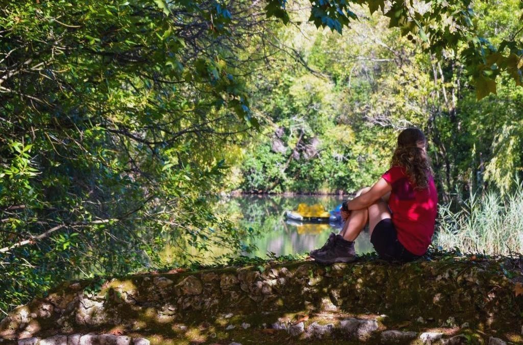 Relax entre viñedos en Tamengos con opción de spa, cerca de Aveiro - Hotel Termas da Curia