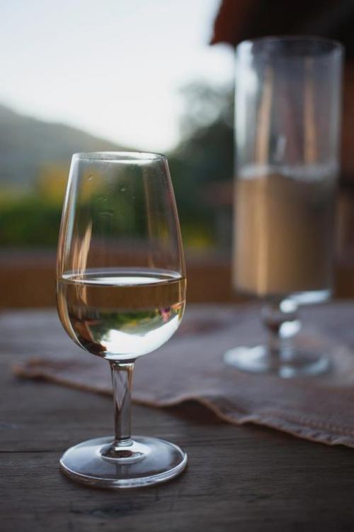 Quinta da Cancela - Winery & Farmhouse