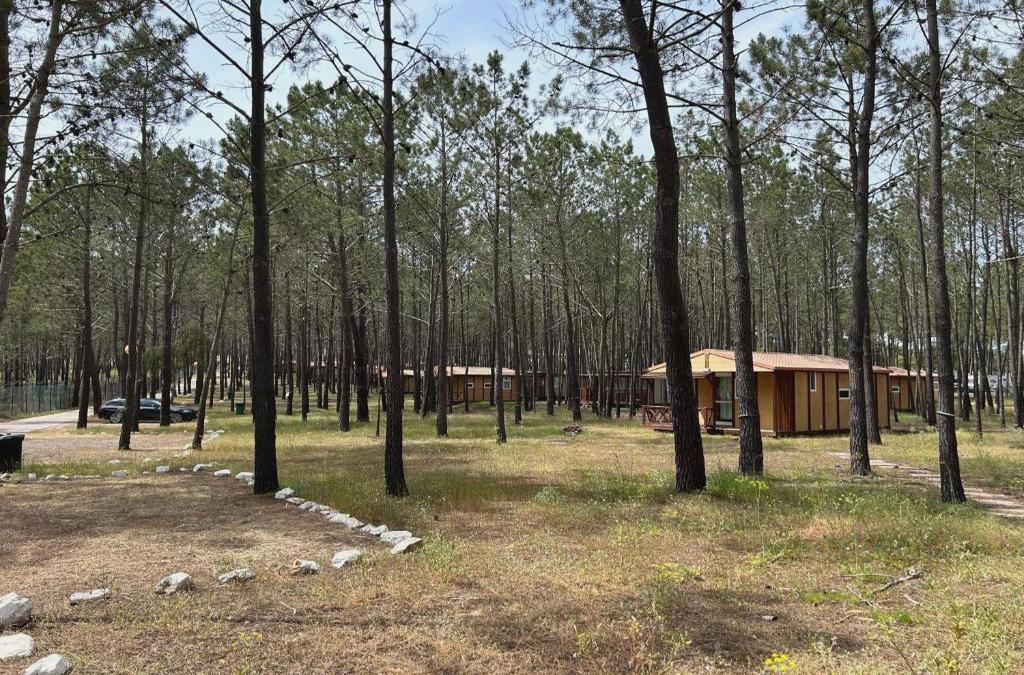 Odeceixe Bungalow-Parque De Campismo Sao Miguel