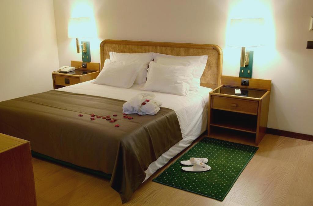 Palace Hotel & Spa  Termas de S. Vicente