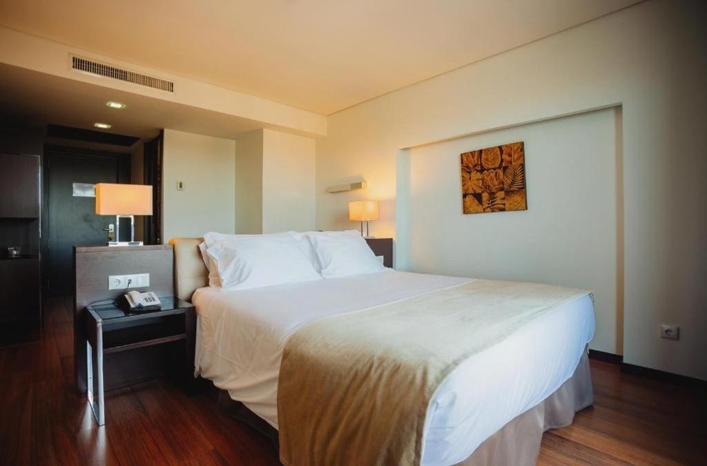 ¡Oporto con cata de vinos y crucero por el Duero! - Axis Porto Business & Spa Hotel