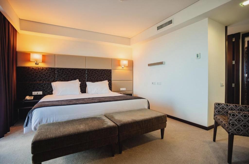 ¡Oporto con cata de vinos y crucero por el Duero! - Axis Porto Business & Spa Hotel