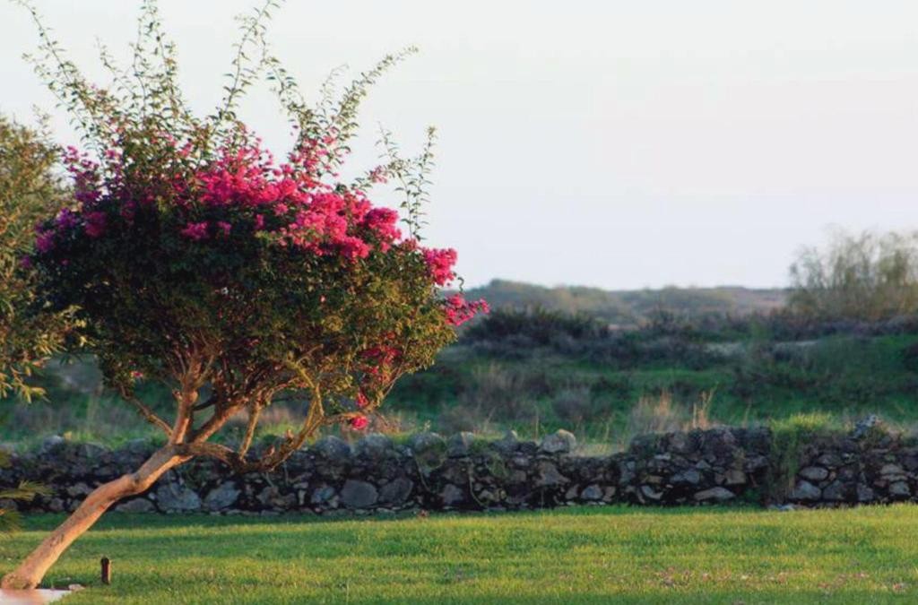 Tu refugio en el Algarve: La escapada que mereces en Cabanas de Tavira - Golden Club Cabanas