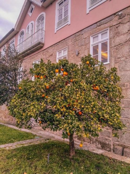 Viaja al norte de Portugal: relájate en un hotel 4* de cuento - Ribeira Collection Hotel by Piamonte Hotels