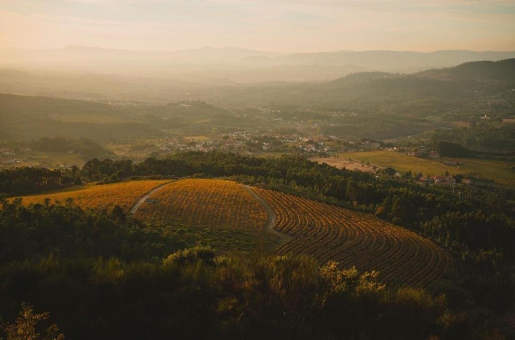 ¡Lujo en el norte de Portugal! Desconecta en Monção con spa incluido