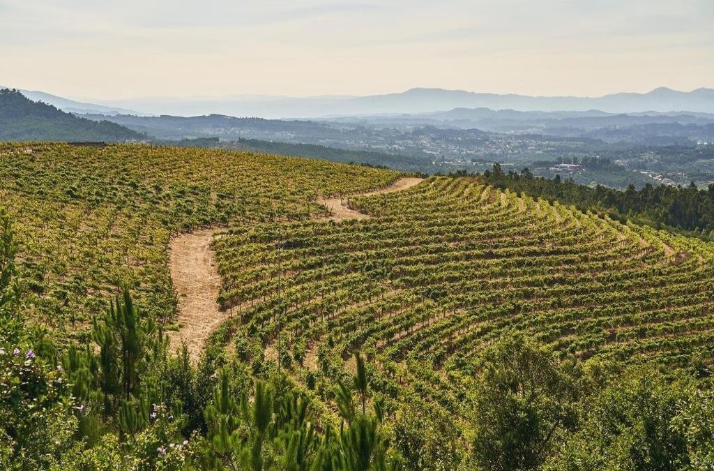 ¡Lujo en el norte de Portugal! Desconecta en Monção con spa incluido